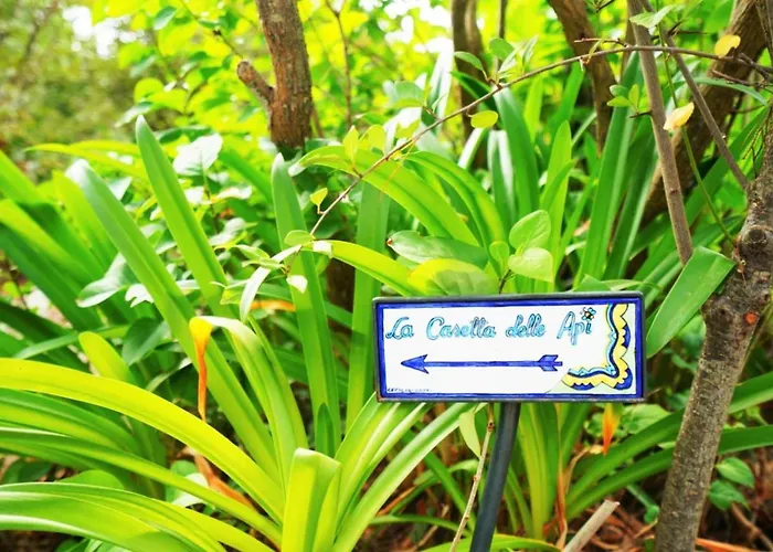 蜜蜂之家度假屋 * 卡普里