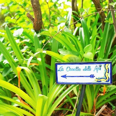 لا كاسيتا ديل آبي * كابري